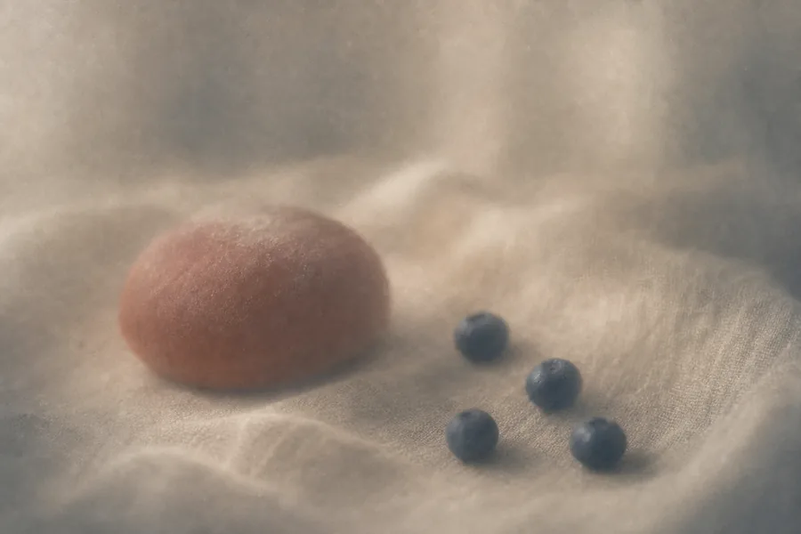 《红枣包与蓝莓》